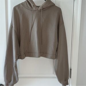 Alo Taupe Hoodie Top